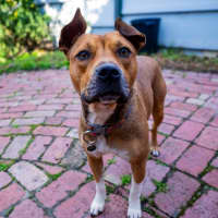 Photo of Chloe Haliwell