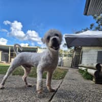 Photo of Paddy