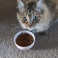 Photo of Myla 💕💕😽