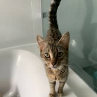 Photo of Ellie (Eleanor)