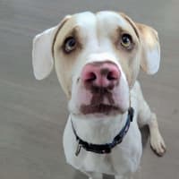 Photo of Quinn