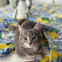 Photo of Smokin 🔥