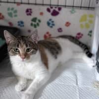 Photo of Laynee 🌺