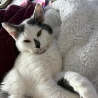 Photo of Victor