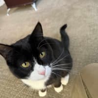 Photo of Pishi & Maloos