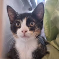 Photo of Matilda 🌺🌈