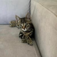 Photo of Hugo