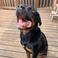 Photo of Zeus