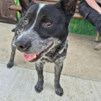 Photo of Snowy! ❄️