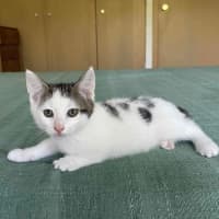 Photo of Ralph ❤️