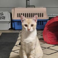 Photo of Lucky And Blue