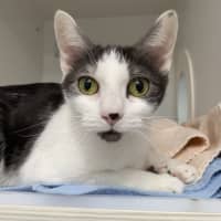 Photo of Sooty
