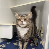 Photo of Tango