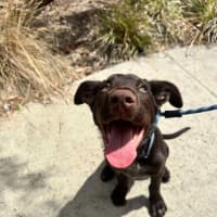 Photo of 🥯 Bagel 5769 🥯