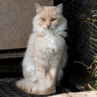 Photo of Ebony & Ivory