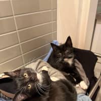 Photo of 🌸Penelope🌸