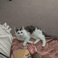 Photo of Popcorn