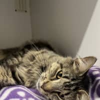 Photo of Frilly