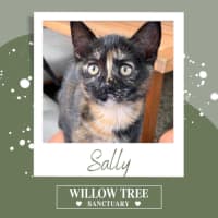 Photo of Sally