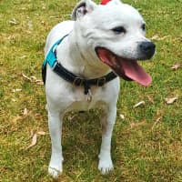 Photo of Princess Zelda