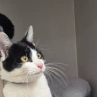 Photo of Gadget (0196)