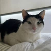 Photo of Winnie