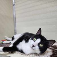 Photo of 💕 Yin 5660 💕