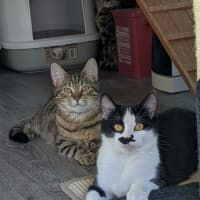 Photo of Flynn