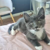 Photo of Louie