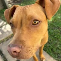 Photo of Murphy