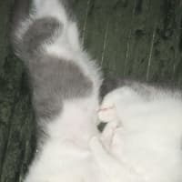 Photo of Huntrix