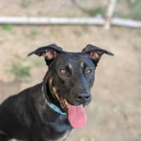 Photo of Jinx