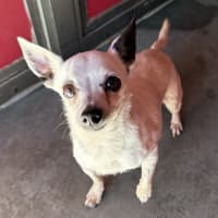 Photo of Tilly