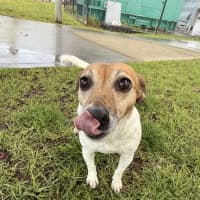Photo of Chloe