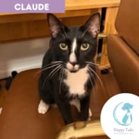 Photo of Claude