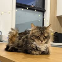 Photo of Zara