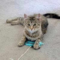 Photo of Penny