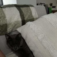 Photo of Sweetie Boy