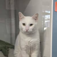Photo of Tom