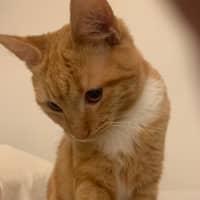 Photo of Sandi
