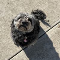 Photo of Grace