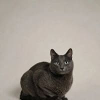 Photo of Max