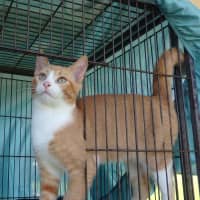 Photo of Brooke And Bruce