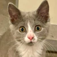 Photo of Luna