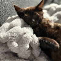 Photo of Willa