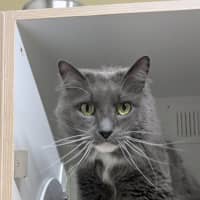 Photo of 💞 Pablo 6791 💞