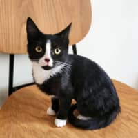 Photo of 🌹 Marnie 🌹