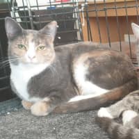 Photo of Mixie