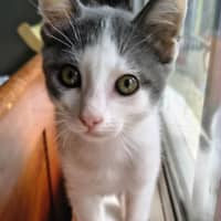 Photo of Wish