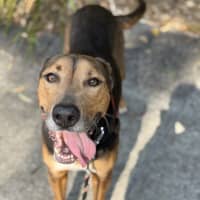 Photo of Ruby